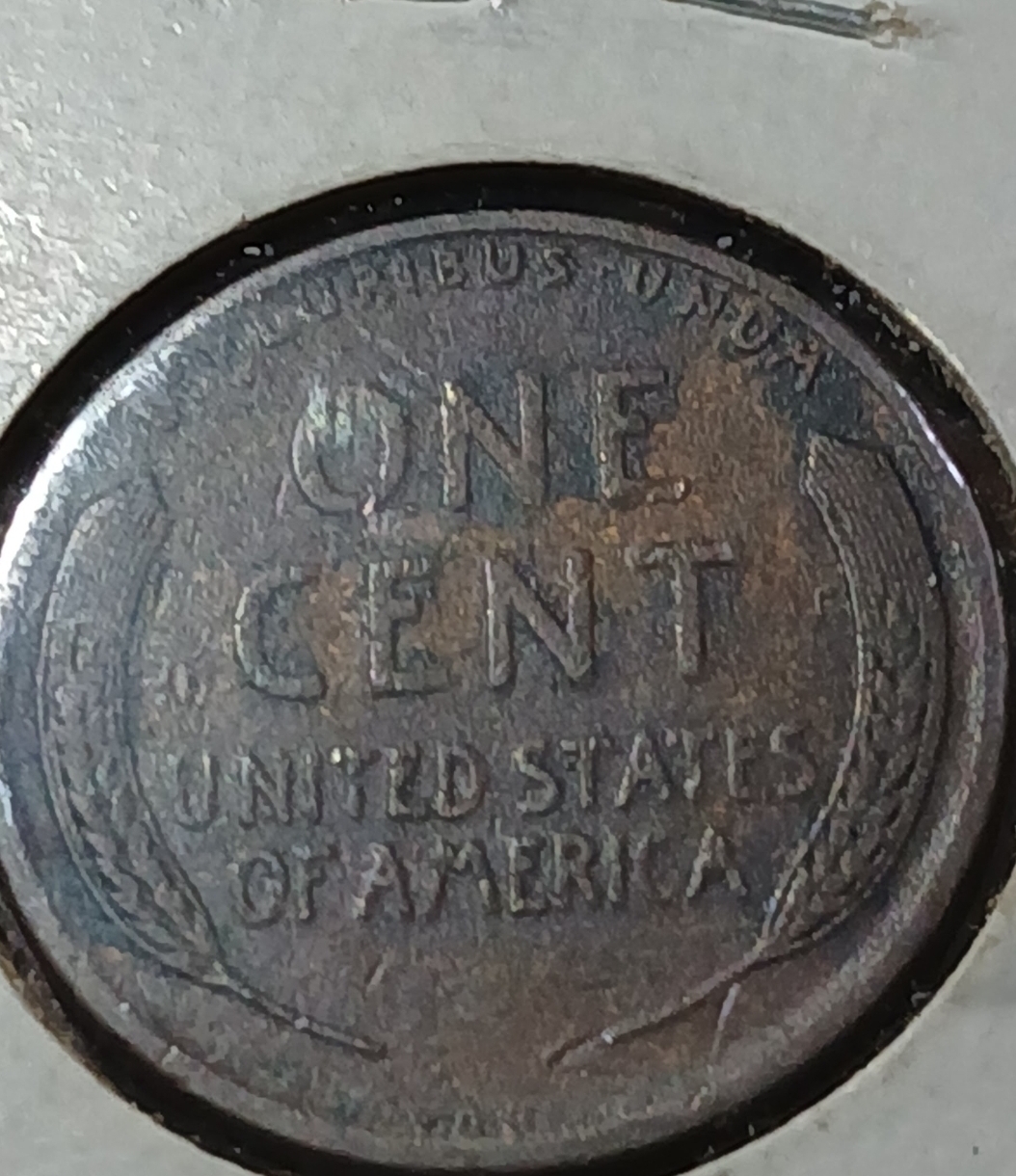 1909 VDB Lincoln wheat penny