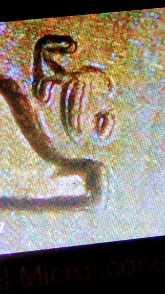 1965 Lincoln cent. Appears to have doubbling on…
