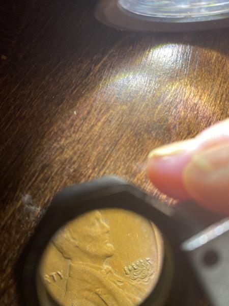 Wondering what this is ? Thank you