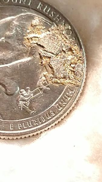 ,2013 mt. Rushmore quaters error