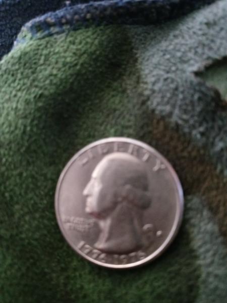 Is the d filled in