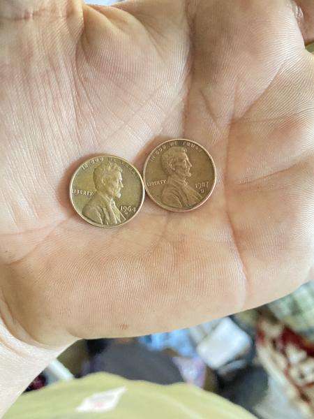 1964 and 1987 pennies 1979 Susan b Anthony