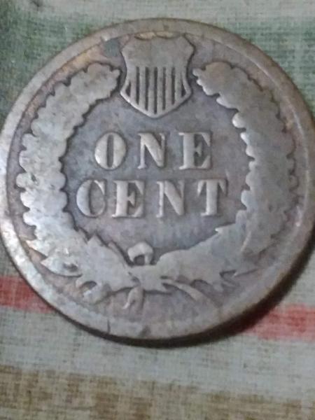 1901 Indian head