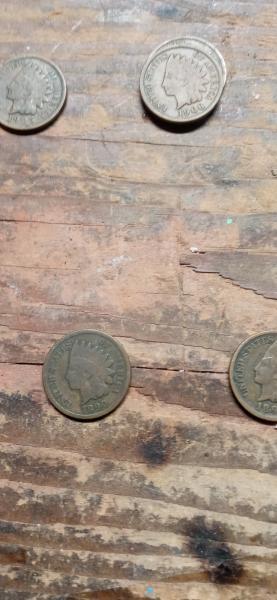 Indian head pennies ranging from1881 to 1908