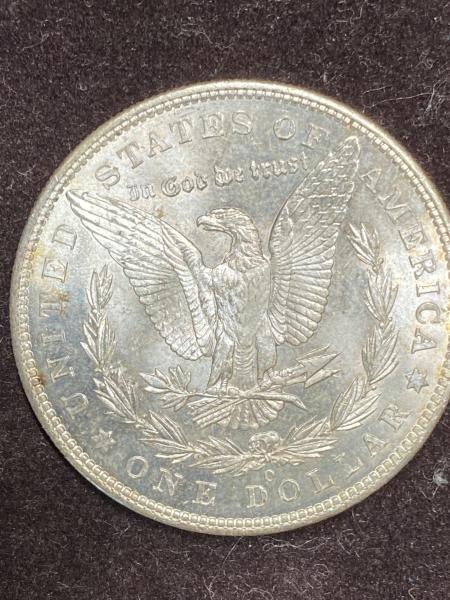 1904 O morgan 1880 Morgan