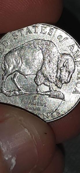 Buffalo nickel with strike through body