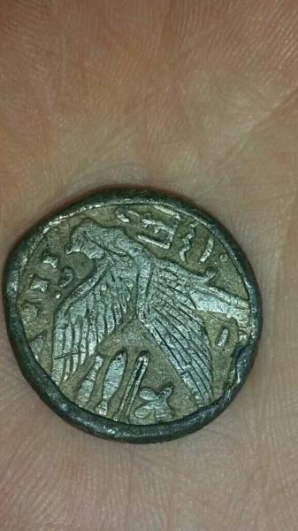 I'm assuming these are Egyptian/ Macedonian but I…
