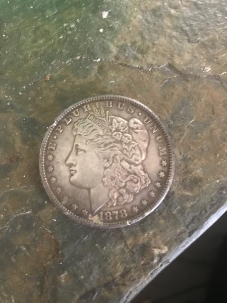 1878 coin