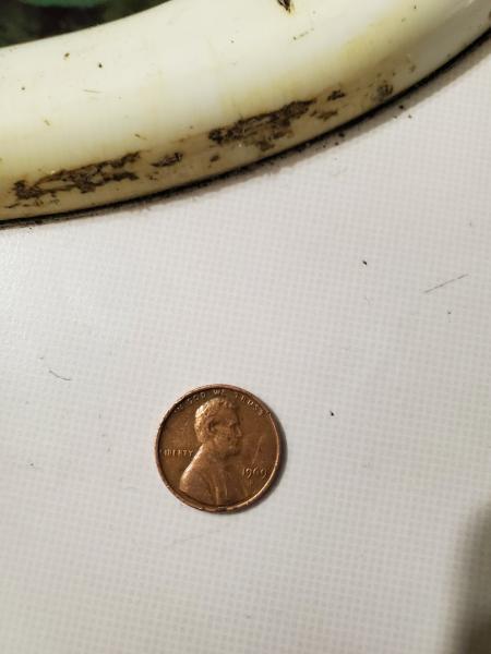 1957 no mint mark nickel and a 1969…