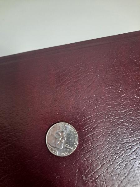 2005 Buffalo nickel