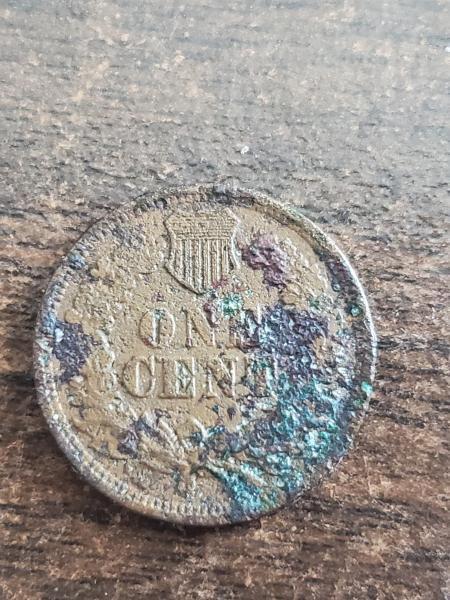 1864 Indian head penny. Was curious if it's&hellip;