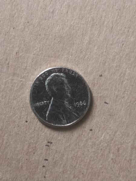 Silver lookn penny