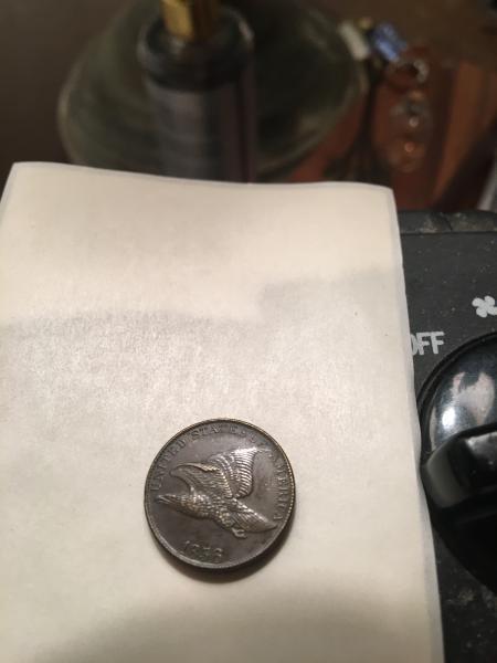 Penny with some kind of bird (hawk or…