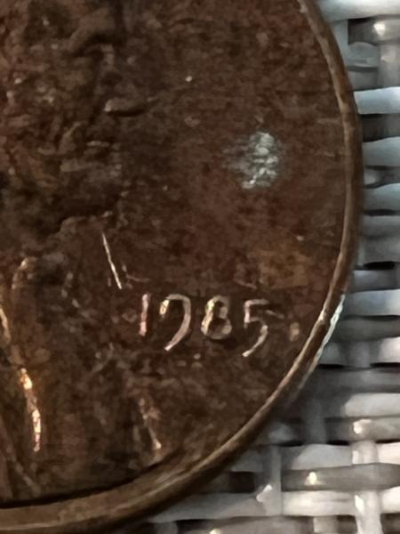 Found this in the dryer vent of a dryer that&hellip;
