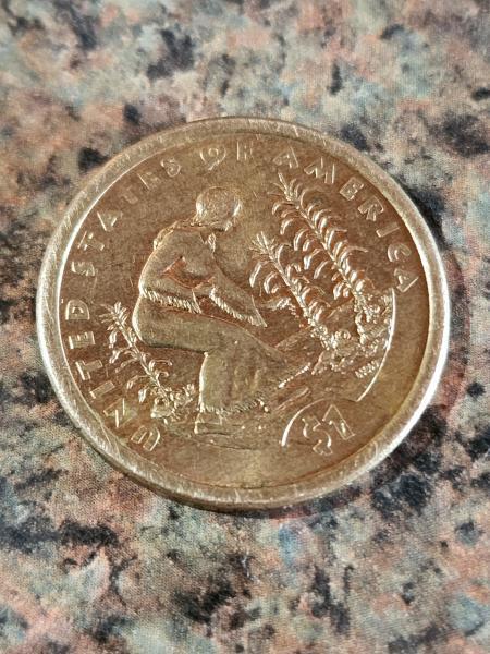 Sacagawea gold dollar no date Taking care of harvest