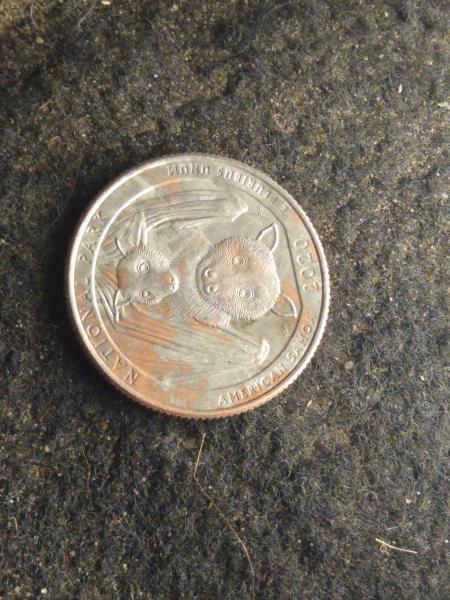 The quarter has copper and nickle on both…