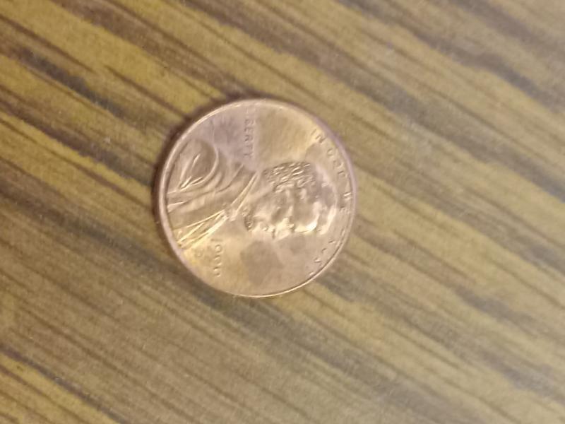 1999 penny A&M in America touching with FG