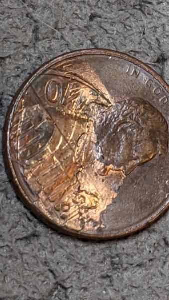 Found this in my pocket change