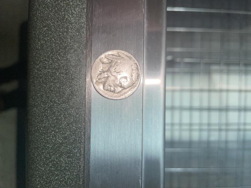 Buffalo Nickel