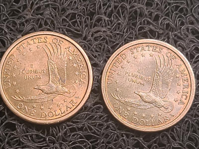 2000 p Sacagawea dollar coins