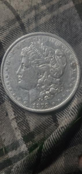 Morgan dollar 1878