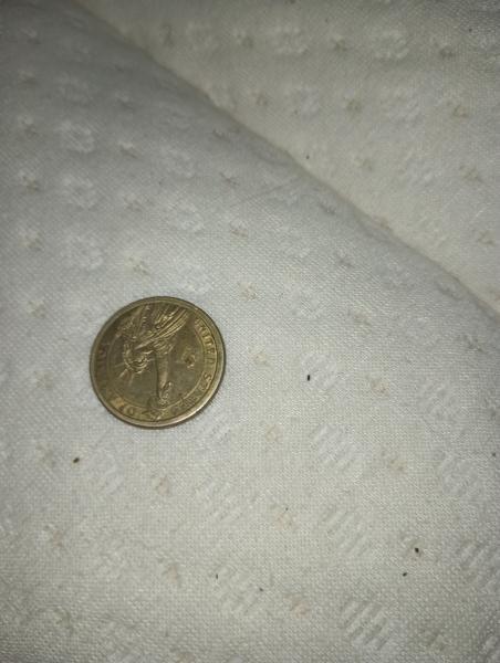 Coin