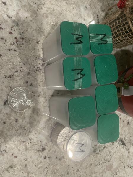 Eight containers of silver lady liberty coins.