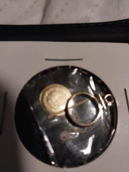 This is a gold coin ?