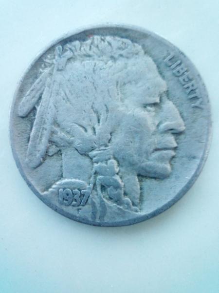 1937 buffalo nickel