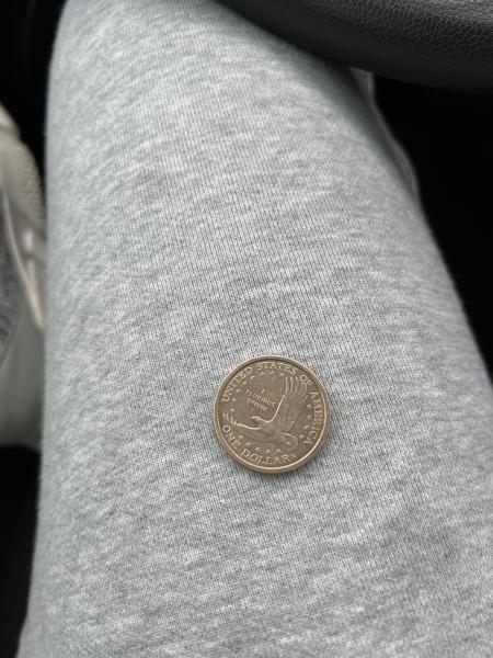 2000 P One dollar Native American Coin