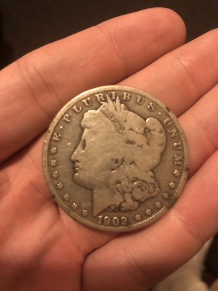 1902 Silver Coon