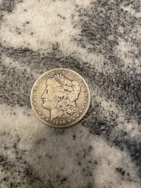 1896 dollar coin
