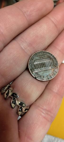 It's older and has some wear but I have never&hellip;