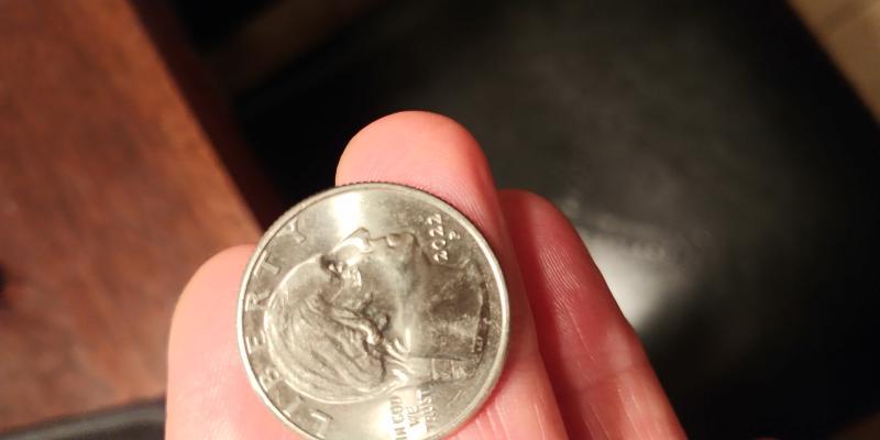Found these oddities on a 2022 Quarter.