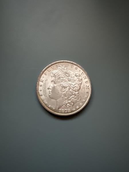 1878 silver dollar
