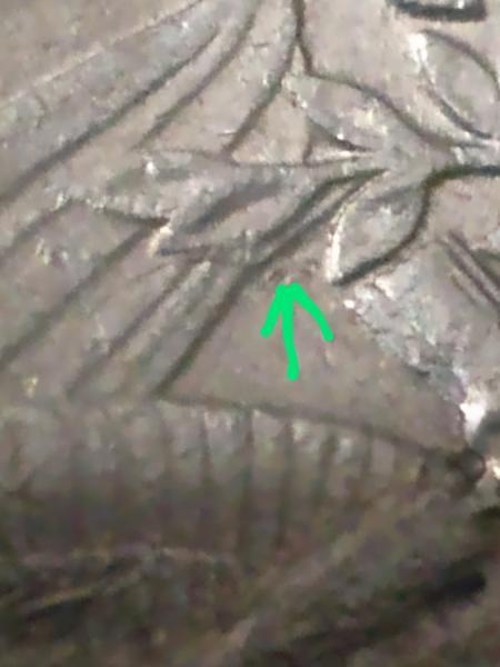 I found this 1986 quarter and I'm sure that the&hellip;