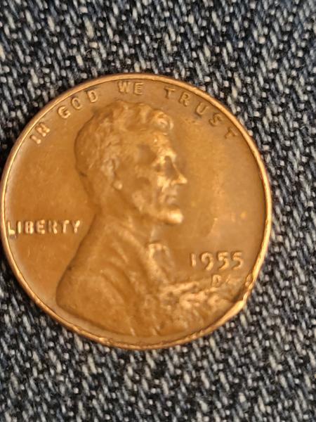 1955D Lincoln Wheat cent Possibly mint damage
