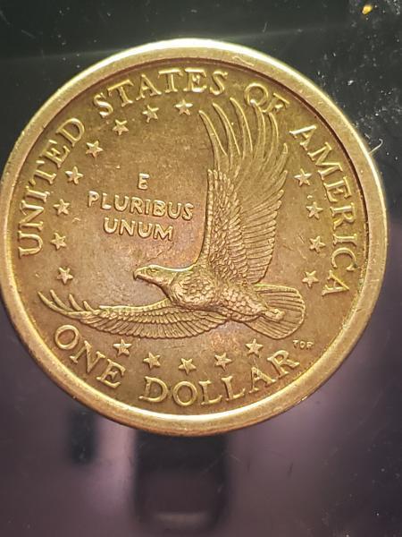 2000 P Sacagawea coin