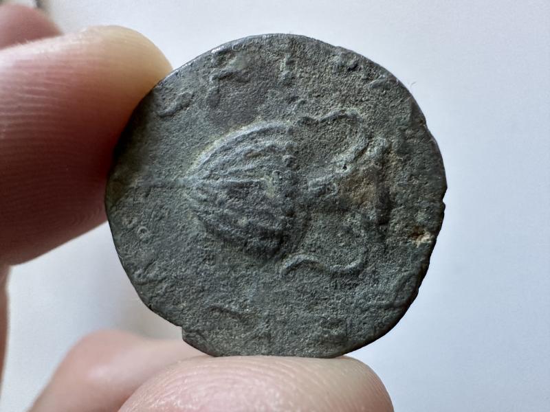 Bar Kochba, Large Bronze, 133/134 CE The rarest of all&hellip;