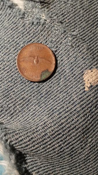 Has one little spot on back looks like it could&hellip;
