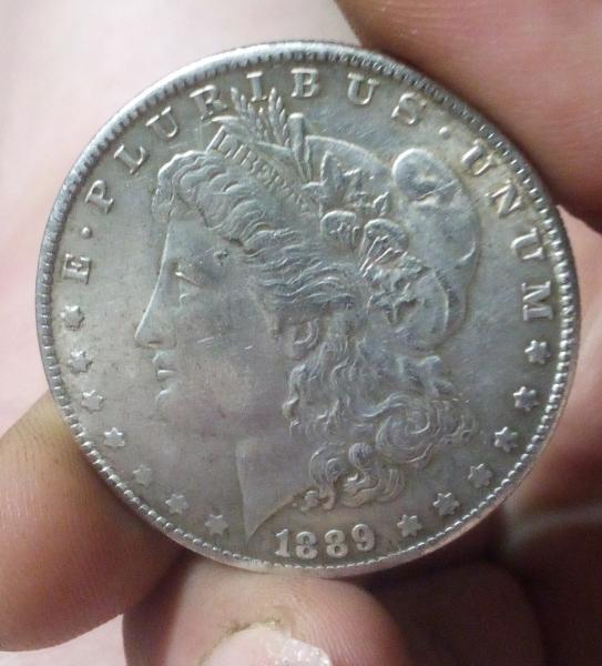 Silver Dollar