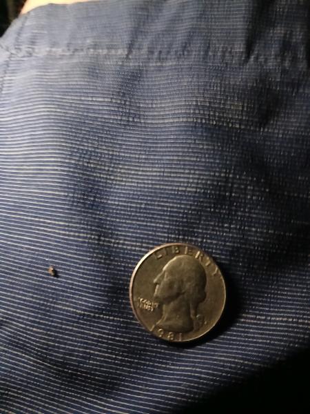 1981 quarter d mint mark error 2008 Alaska…