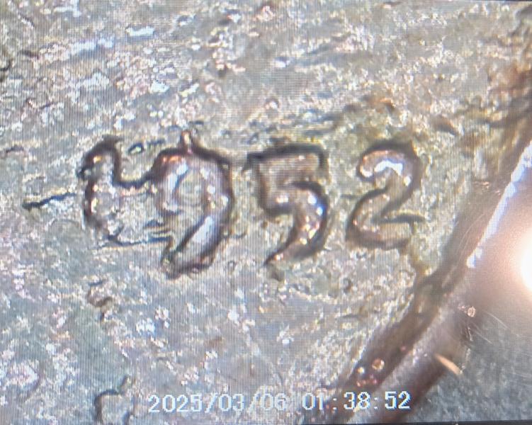 1952 wheat penny. I'm sure it's a mint&hellip;