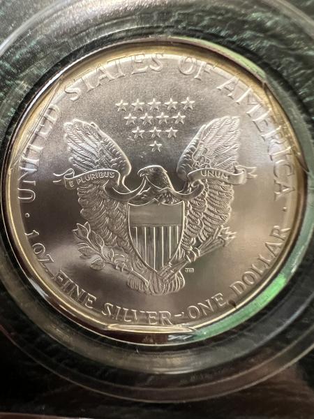 1999 Silver American Eagle still sealed in original packaging