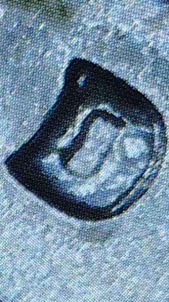 1964 sliver quarter with error. Came out of…