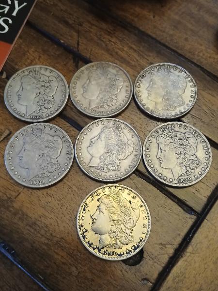 Morgan Dollars