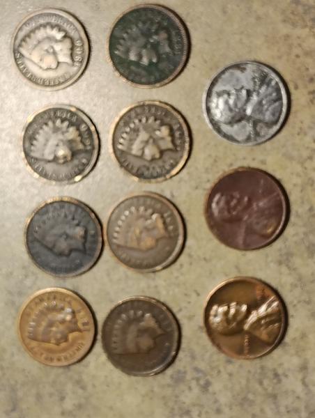 In this picture I have 8 Indian head…